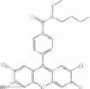 Fig. 37 - Development of ABCG2-Sensitive Fluorescent Probe For Isolation of ABCG2low Neural Stem/Progenitor Cells