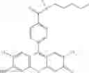 Fig. 40 - Development of ABCG2-Sensitive Fluorescent Probe For Isolation of ABCG2low Neural Stem/Progenitor Cells