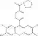 Fig. 43 - Development of ABCG2-Sensitive Fluorescent Probe For Isolation of ABCG2low Neural Stem/Progenitor Cells
