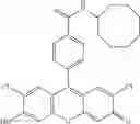 Fig. 44 - Development of ABCG2-Sensitive Fluorescent Probe For Isolation of ABCG2low Neural Stem/Progenitor Cells