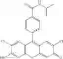 Fig. 45 - Development of ABCG2-Sensitive Fluorescent Probe For Isolation of ABCG2low Neural Stem/Progenitor Cells