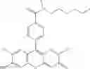 Fig. 47 - Development of ABCG2-Sensitive Fluorescent Probe For Isolation of ABCG2low Neural Stem/Progenitor Cells