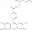 Fig. 48 - Development of ABCG2-Sensitive Fluorescent Probe For Isolation of ABCG2low Neural Stem/Progenitor Cells