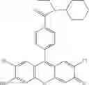 Fig. 51 - Development of ABCG2-Sensitive Fluorescent Probe For Isolation of ABCG2low Neural Stem/Progenitor Cells