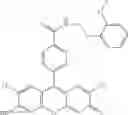 Fig. 53 - Development of ABCG2-Sensitive Fluorescent Probe For Isolation of ABCG2low Neural Stem/Progenitor Cells