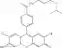 Fig. 54 - Development of ABCG2-Sensitive Fluorescent Probe For Isolation of ABCG2low Neural Stem/Progenitor Cells