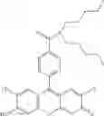 Fig. 59 - Development of ABCG2-Sensitive Fluorescent Probe For Isolation of ABCG2low Neural Stem/Progenitor Cells