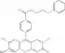Fig. 60 - Development of ABCG2-Sensitive Fluorescent Probe For Isolation of ABCG2low Neural Stem/Progenitor Cells