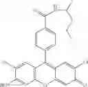 Fig. 61 - Development of ABCG2-Sensitive Fluorescent Probe For Isolation of ABCG2low Neural Stem/Progenitor Cells