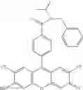 Fig. 62 - Development of ABCG2-Sensitive Fluorescent Probe For Isolation of ABCG2low Neural Stem/Progenitor Cells
