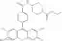 Fig. 63 - Development of ABCG2-Sensitive Fluorescent Probe For Isolation of ABCG2low Neural Stem/Progenitor Cells