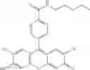 Fig. 70 - Development of ABCG2-Sensitive Fluorescent Probe For Isolation of ABCG2low Neural Stem/Progenitor Cells
