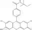 Fig. 71 - Development of ABCG2-Sensitive Fluorescent Probe For Isolation of ABCG2low Neural Stem/Progenitor Cells