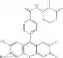 Fig. 72 - Development of ABCG2-Sensitive Fluorescent Probe For Isolation of ABCG2low Neural Stem/Progenitor Cells