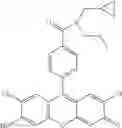 Fig. 74 - Development of ABCG2-Sensitive Fluorescent Probe For Isolation of ABCG2low Neural Stem/Progenitor Cells