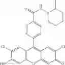 Fig. 75 - Development of ABCG2-Sensitive Fluorescent Probe For Isolation of ABCG2low Neural Stem/Progenitor Cells