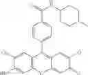 Fig. 77 - Development of ABCG2-Sensitive Fluorescent Probe For Isolation of ABCG2low Neural Stem/Progenitor Cells