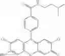 Fig. 78 - Development of ABCG2-Sensitive Fluorescent Probe For Isolation of ABCG2low Neural Stem/Progenitor Cells