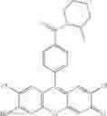 Fig. 80 - Development of ABCG2-Sensitive Fluorescent Probe For Isolation of ABCG2low Neural Stem/Progenitor Cells