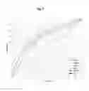 Fig. 08 - METHODS AND COMPOSITIONS FOR DIAGNOSING BRAIN INJURY OR NEURODEGENERATION