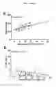 Fig. 06 - HDL-associated protein biomarker panel detection