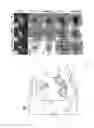Fig. 04 - Scanning probe microscope and method for measuring local electrical potential fields