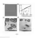 Fig. 09 - Scanning probe microscope and method for measuring local electrical potential fields