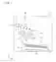 Fig. 02 - Developing system and image forming apparatus