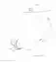 Fig. 09 - Two wheel in-line robots