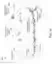Fig. 17 - Topological data analysis of data from a fact table and related dimension tables