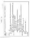 Fig. 10 - Generating containers for applications utilizing reduced sets of libraries based on risk analysis