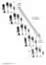 Fig. 11 - Fingerprint preview quality and segmentation