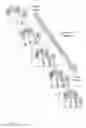 Fig. 12 - Fingerprint preview quality and segmentation