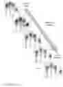 Fig. 15 - Fingerprint preview quality and segmentation