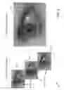 Fig. 05 - Iris recognition via plenoptic imaging