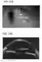 Fig. 24 - Iris recognition via plenoptic imaging