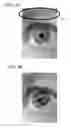 Fig. 04 - Iris recognition via plenoptic imaging
