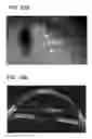 Fig. 24 - Iris recognition via plenoptic imaging