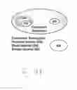 Fig. 14 - METHOD AND SYSTEM FOR ANALYZING BIOLOGICAL SPECIMENS BY SPECTRAL IMAGING