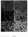 Fig. 53 - Systems and methods for segmentation and processing of tissue images and feature extraction from same for treating, diagnosing, or predicting medical conditions