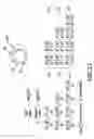 Fig. 55 - Systems and methods for segmentation and processing of tissue images and feature extraction from same for treating, diagnosing, or predicting medical conditions