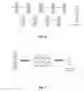 Fig. 06 - System and method for person identification and personality assessment based on EEG signal