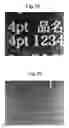 Fig. 10 - Print data processing method and apparatus reducing ink applied in erosion region among white-plate data