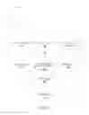 Fig. 04 - DERIVING AUDIENCES THROUGH FILTER ACTIVITY