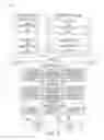 Fig. 14 - DERIVING AUDIENCES THROUGH FILTER ACTIVITY