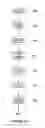 Fig. 10 - Registry