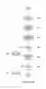 Fig. 11 - Registry