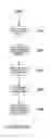Fig. 12 - Registry