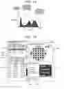 Fig. 11 - Method for measuring overlay and measuring apparatus, scanning electron microscope, and GUI