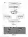 Fig. 13 - Facilitating anomaly detection for a product having a pattern